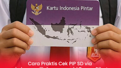 Cara Praktis Cek PIP SD di pip.kemendikdasmen.go.id, Tanpa Ribet & Cepat!