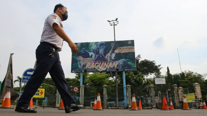 Dibuka Malam Ini! 4 Hal Wajib Tahu Sebelum ke Ragunan di Malam Hari