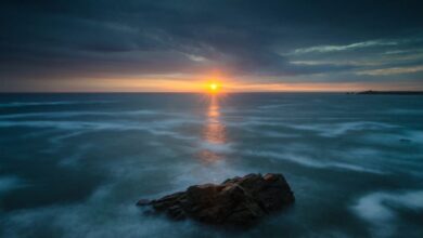 Gelombang Panas Laut Reduksi Penyerapan Karbon, Solusi dan Dampaknya