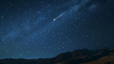 Jangan Sampai Ketinggalan! 8 Oktober 2025 Langit Indonesia Hujan Meteor & Supermoon