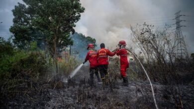 Kebakaran Hutan Dunia Meningkat Tajam: Risiko Kemanusiaan & Dampak Ekonomi Parah