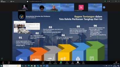 Ketahanan Pangan Sektor Perikanan Butuh Solusi Aplikatif dan Berkelanjutan
