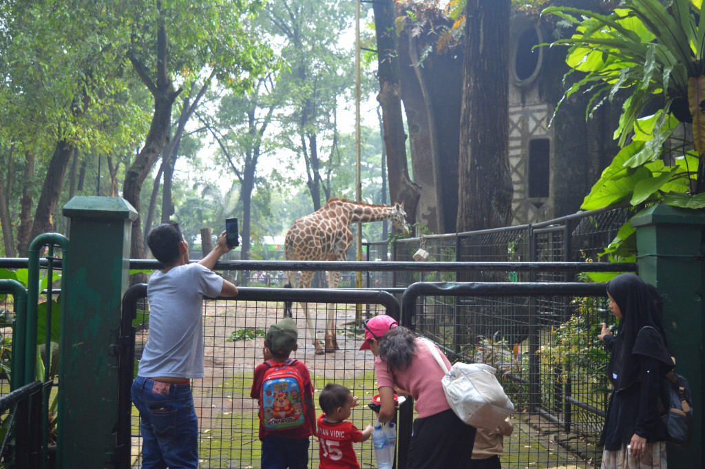 Night at Ragunanzoo Buka Mulai Hari Ini, Segini Harga Tiket Terbaru