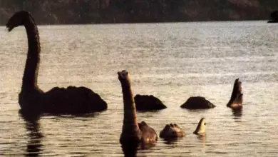 Penampakan Monster Loch Ness Terekam, Ukurannya Setara 3 Orang Dewasa