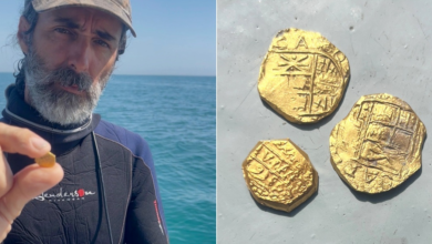 Penyelam Temukan Harta Karun 1.000 Koin Spanyol Kuno Senilai Rp 16 M