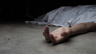 Satu Pengendara Tewas, Ini Fakta Pohon Tumbang di Jakarta Selatan Hari Ini