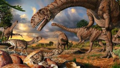 Temuan Baru Ungkap Dinosaurus Berkembang Pesat Sebelum Punah Massal