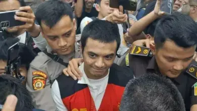 Vadel Badjideh Divonis 9 Tahun, Kuasa Hukum Anggap Tuntutan JPU Tak Logis