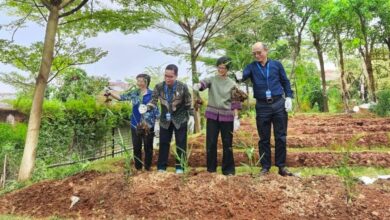WHO Apresiasi Kemajuan Indonesia dalam Pengembangan Obat Herbal Modern, Dorong Inovasi Nasional