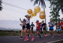 10 Penginapan Dekat Borobudur Marathon, Harga Mulai Rp100 Ribuan dan Fasilitas Nyaman