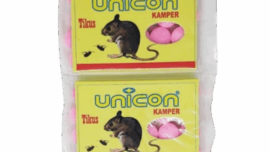 10 Rekomendasi Kapur Barus Terbaik untuk Rumah Bersih dan Wangi, Pilihan Praktis Teratas