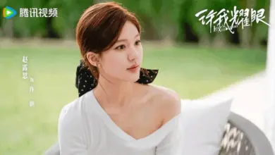 5 Drama China Zhao Lusi Paling Seru Versi Pasundan Ekspres, Wajib Tonton Love's Ambition