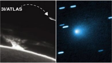 5 Fakta Komet ATLAS yang Awalnya Dicurigai Pesawat Alien, Ini Penjelasan NASA