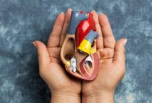 5 Makanan Terbaik untuk Memperbaiki Fungsi Ginjal Secara Alami dan Efektif