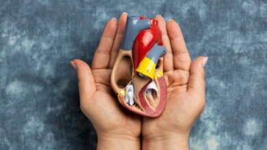 5 Makanan Terbaik untuk Memperbaiki Fungsi Ginjal Secara Alami dan Efektif