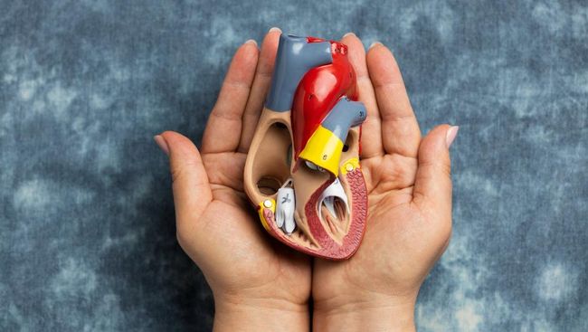 5 Makanan Terbaik untuk Memperbaiki Fungsi Ginjal Secara Alami dan Efektif