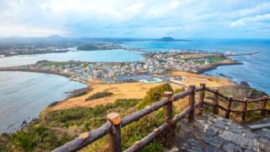 7 Cara Seru Menikmati Musim Gugur di Pulau Jeju, Destinasi Favorit Pecinta Alam