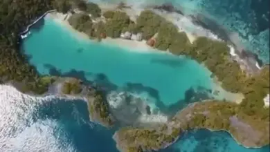 9 Rekomendasi Pantai Indonesia Paling Indah untuk Snorkeling dan Menyelami Surga Bawah Laut