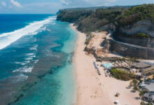 Bali Punya Domain .Bali, Identitas Digital Resmi untuk Promosi dan Bisnis Pulau Dewata