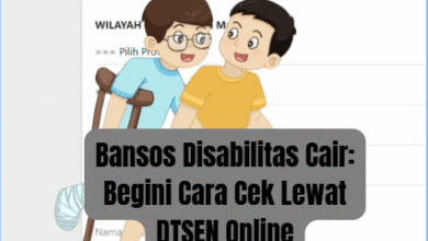 Bansos Disabilitas Cair 2025: Cara Cek Penerima Melalui Aplikasi DTSEN Online Mudah & Cepat