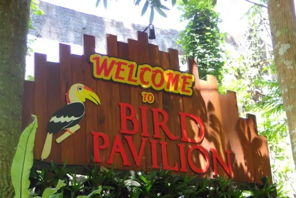 Bird Pavilion Bandung: Wisata Edukasi Seru dan Edukatif untuk Anak di Jawa Barat