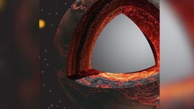 Blob Misterius di Mantel Bumi Ungkap Jejak Asal Usul Kehidupan, Simak Faktanya