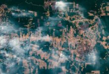 Brasil Minta Dana Miliaran Dolar untuk Lindungi Hutan, Namun Izin Tambang Tetap Berjalan