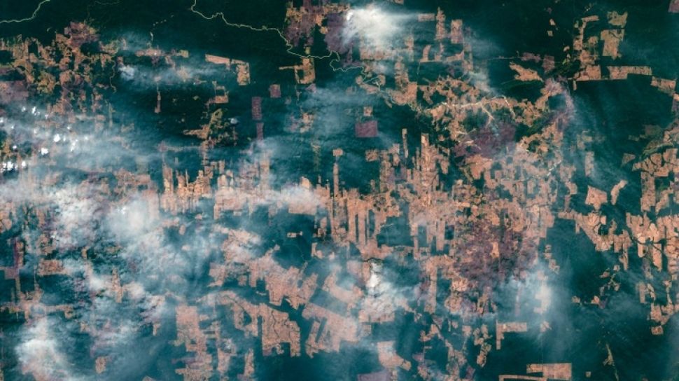 Brasil Minta Dana Miliaran Dolar untuk Lindungi Hutan, Namun Izin Tambang Tetap Berjalan