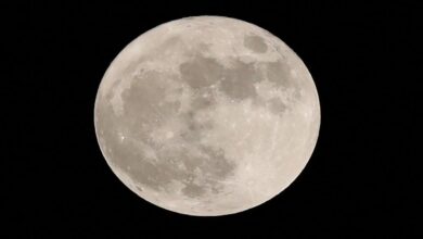 Bukan Cuma Supermoon, Ini 12 Fenomena Langit November 2025 yang Wajib Dicermati!