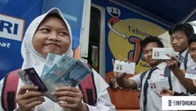Cara Cek PIP Lewat HP dengan Mudah melalui Situs Resmi Kemendikdasmen 2025