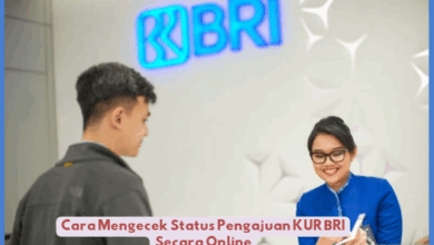 Cara Cek Status Pengajuan KUR BRI Online: Panduan Lengkap dan Mudah 2025