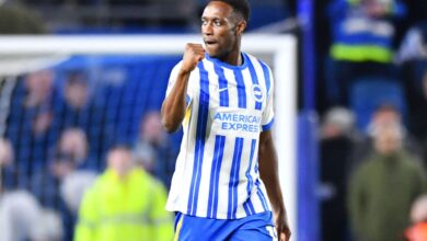 Cara Nonton Brighton vs Brentford: Streaming Langsung dan Info Siaran TV Terbaru