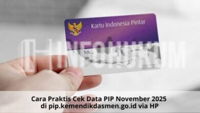 Cara Praktis Cek Data PIP November 2025 di pip.kemendikdasmen.go.id Lewat HP