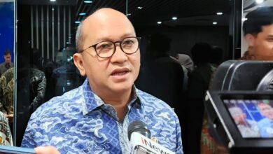 Danantara Terbuka Soal Keterlibatan dalam Merger Grab dan Goto Rosan: Fakta Lengkap