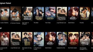 Ekspor Dracin China Picu Drama 60 Detik: Dunia Dilanda Emosi Selama 24 Jam