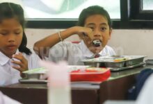 Gak Perlu Marah di Grup WA, Call Centre 127 Siap Tampung Keluhan Program MBG dengan Cepat