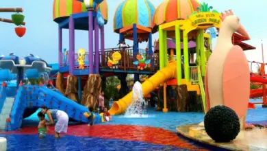 Harga Tiket Dreamland Water Park Ajibarang Banyumas 2025: Informasi Lengkap & Terbaru