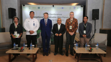 Indonesia Jadi Model Transformasi Beras Rendah Karbon, Inovasi Pertanian Masa Depan