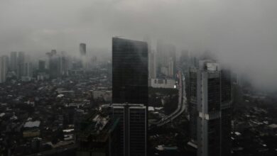 Indonesia dan The Royal Foundation Bersinergi Atasi Krisis Iklim di Forum Rio 2025