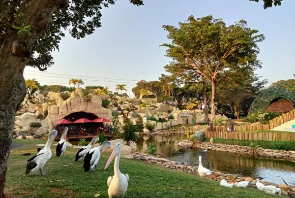 Info Terbaru Harga Tiket Masuk Taman Burung TMII & Daya Tarik Wisata Edukatif 2025