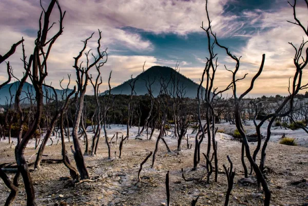 Informasi Lengkap Gunung Papandayan: Destinasi Wisata Alam Populer di Garut