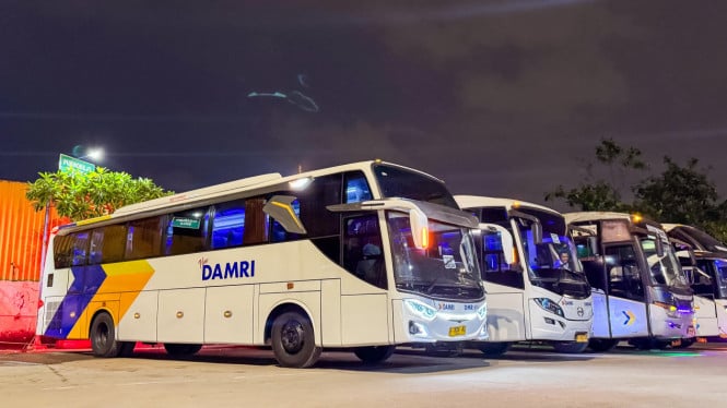 Jadwal Terbaru Bus DAMRI Bandara Soetta & Harga Tiket November 2025, Cek Lengkapnya! Jadwal Terbaru Bus DAMRI Bandara Soetta & Harga Tiket November 2025, Cek Lengkapnya!
