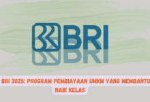 KUR BRI 2025: Dukungan Pembiayaan UMKM untuk Mendorong Naik Kelas Secara Optimal