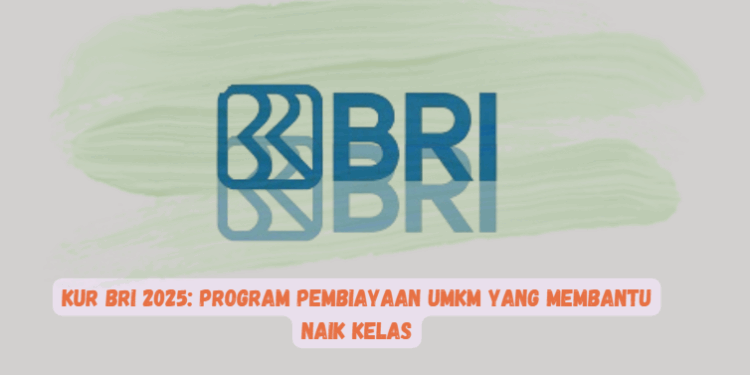 KUR BRI 2025: Dukungan Pembiayaan UMKM untuk Mendorong Naik Kelas Secara Optimal