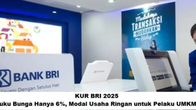 KUR BRI 2025: Suku Bunga Ringan 6%, Solusi Modal Usaha UMKM Lebih Mudah dan Cepat