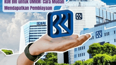 KUR BRI untuk UMKM: Panduan Lengkap Cara Mudah Mendapatkan Pembiayaan Modal Usaha