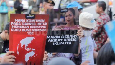 Krisis Iklim Menggila: Ribuan Nyawa Melayang dan Kerugian Triliunan Dolar Dunia