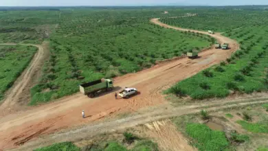 Laporan Sinarmas Sekuritas: RMKE Berpotensi Naik 100% dengan Target Harga Rp 6.700