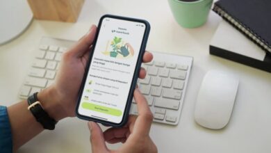 Mengenal Sosok Pemilik Superbank: Dukung Investor Besar dari Singapura dan Korea Selatan