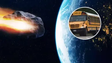 NASA Pantau Asteroid Sebesar Bus Melaju Dekat Bumi Pekan Ini, Seberapa Bahaya?